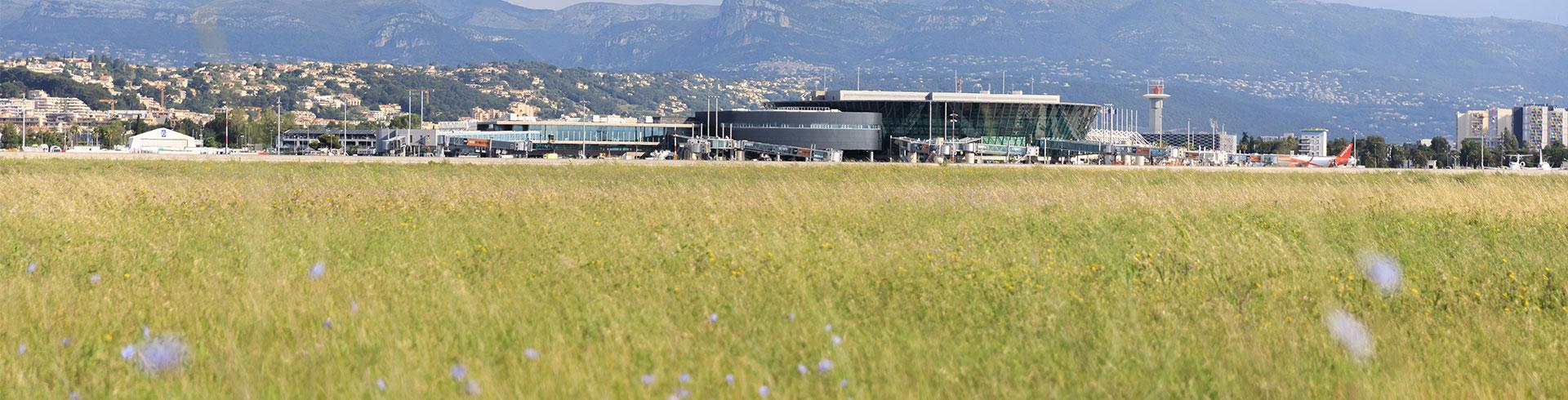 Terminal 2 Aeroport nice verdure