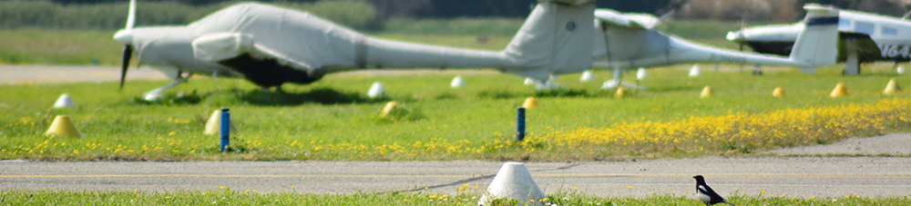 Piste ACM Biodiversité