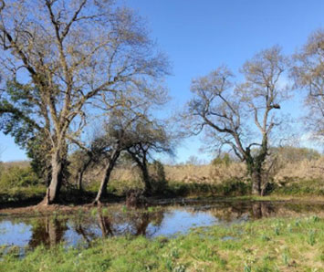 Fondation projet CEN