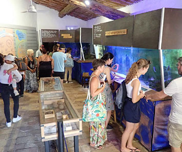 Fondation Projet CPIE Lérins